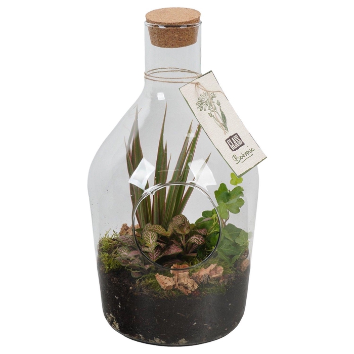 <h4>PTGIG2160 Arrangement Greens in glass in glazen fles</h4>