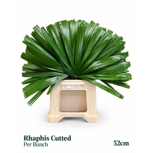 PALMBLAD