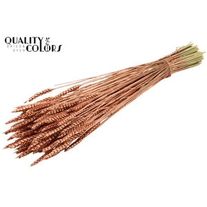 Triticum per bunch Copper