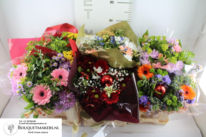 <h4>GEM BOEKET OV</h4>