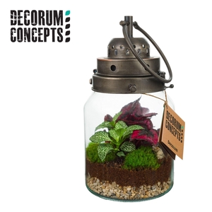 Terrarium Stormlamp (Decorum concepts)