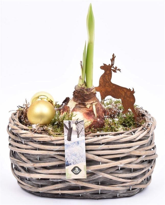 Wilg mand ovaal girjs 22x13cm