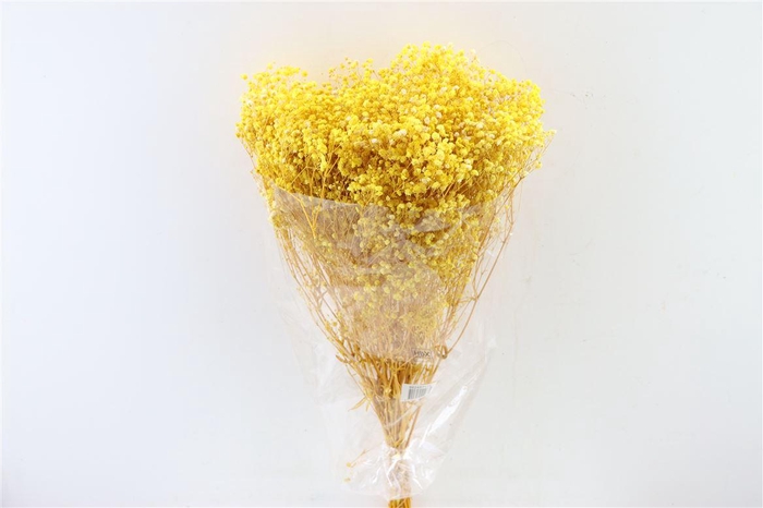 <h4>Pres Gyps Bq Yellow Bunch Slv</h4>