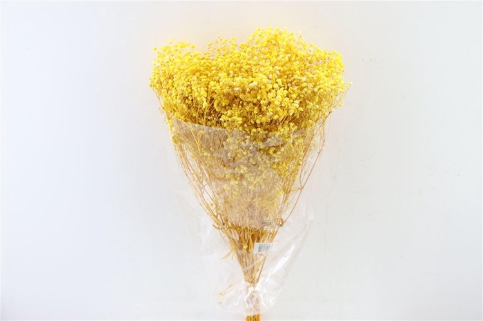 <h4>Pres Gyps Bq Yellow Bunch</h4>