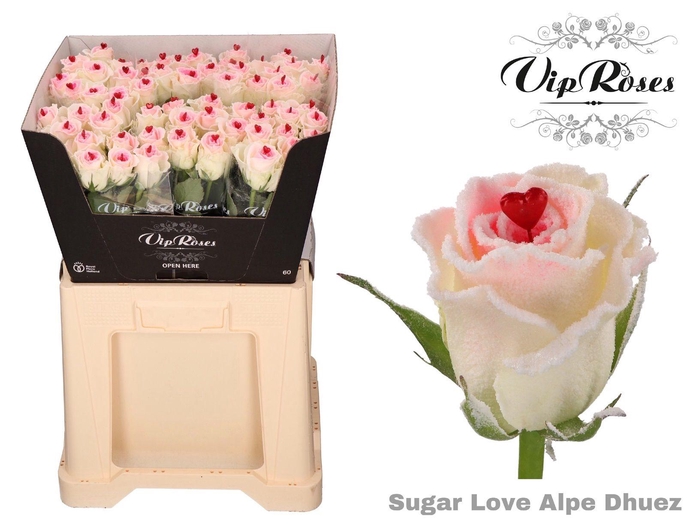 <h4>R GR OV KLB H%</h4>