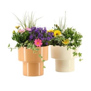 31817: Outdoor summer arrangement