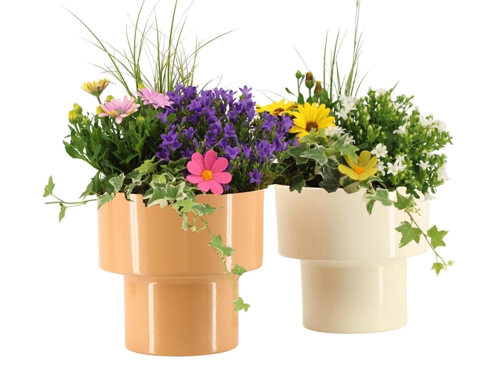<h4>31817: Outdoor summer arrangement</h4>