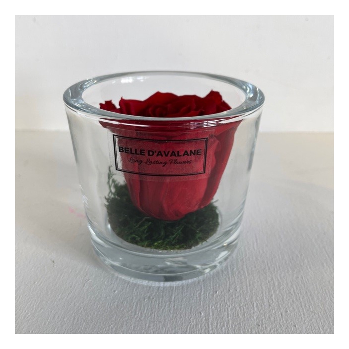 <h4>Cilinder d9x8h rode roos glas</h4>