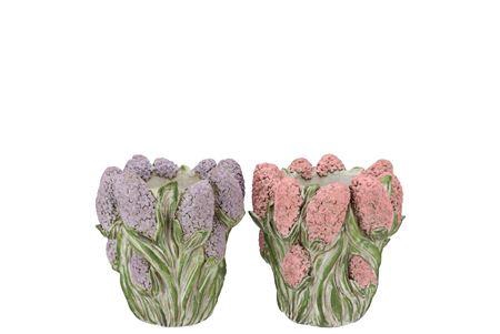<h4>Dante Pink Lilac Pot Hyacinth Ass 17x17x16cm</h4>