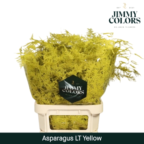 <h4>Asp lang getopt  Yellow</h4>