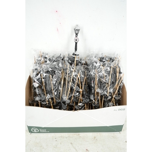 Pick Lantern Snowy plastic 13cm+12cm stick 24pce/bag