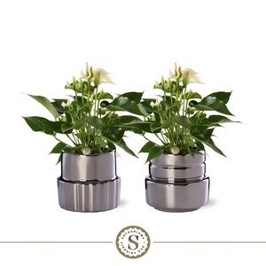 Oslo Silver Keramiek 12cm White