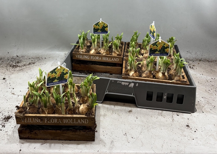 <h4>ARR N TETE A TETE</h4>