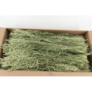 DF Avena (Haver) Bs 190g