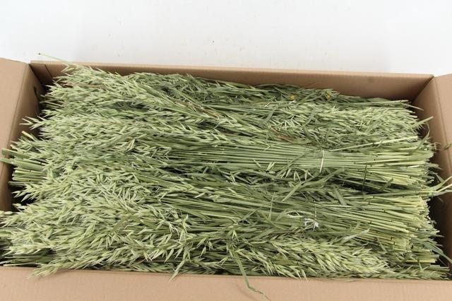 <h4>DF Avena (Haver) Bs 190g</h4>