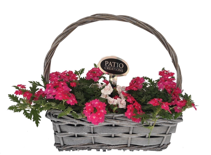 <h4>Arr.   Perkplanten L%</h4>