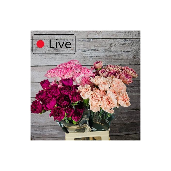 <h4>Di St Gemengd In Fust</h4>