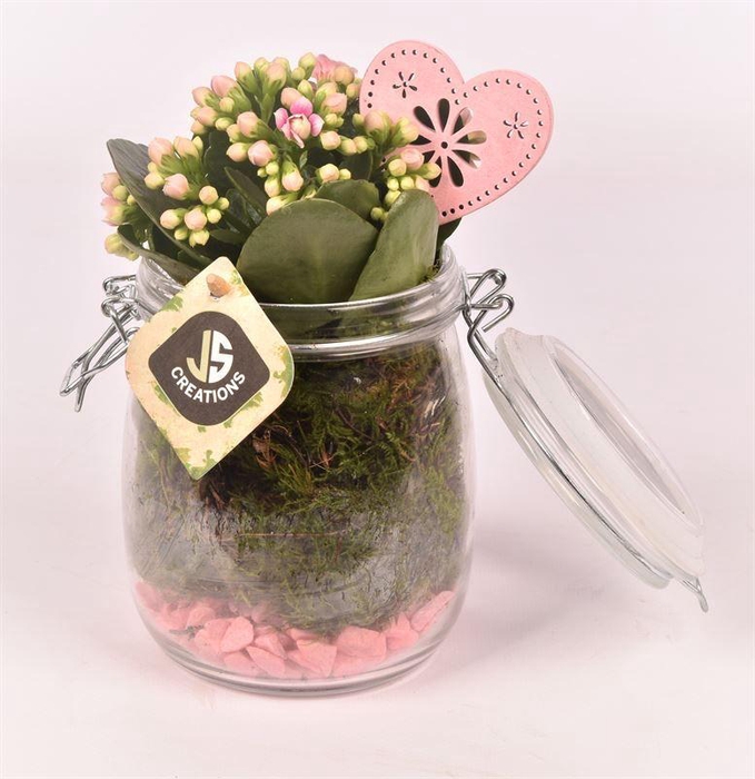 <h4>Glas weckpotje 11cm</h4>