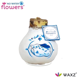 No Water Flowers Waxz® Delfts Blauw Clogs