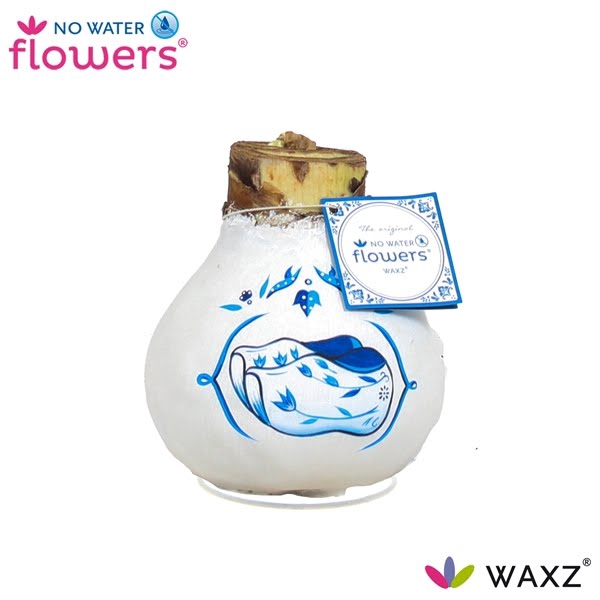 <h4>No Water Flowers Waxz® Delfts Blauw Clogs</h4>