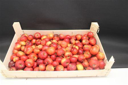 <h4>F Appel Rood 5kg Klein</h4>