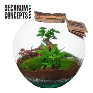 Terrarium Moon medium (Decorum concepts)