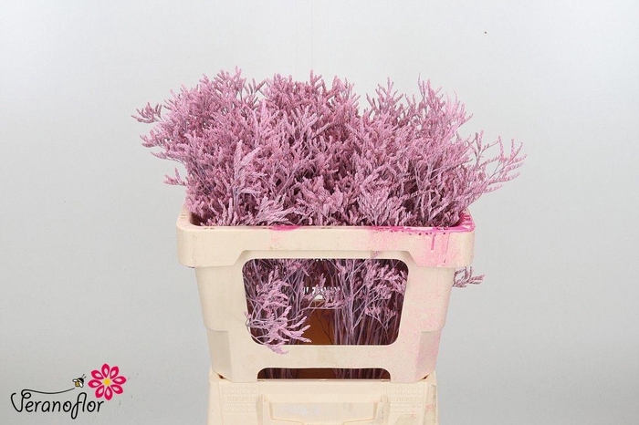 <h4>LIM OV KLB H%</h4>