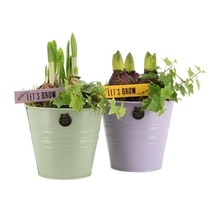 11429: Outdoor spring arrangement