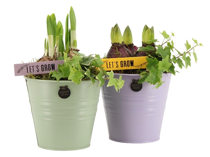 <h4>11429: Outdoor spring arrangement</h4>