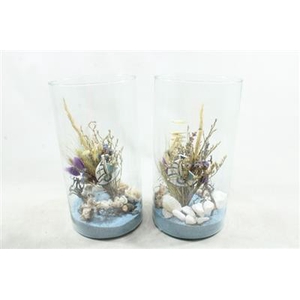 DRY CILINDER BLUE