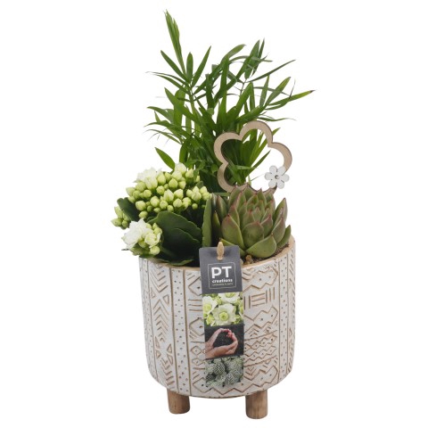 <h4>PTIB6433 Arrangement Indoor in keramiek pot</h4>