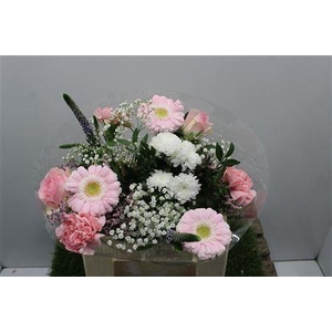 Gem Boe Middel Rose 25 Stelen Vers