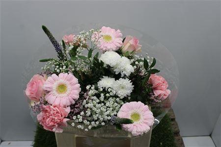 <h4>Gem Boe Middel Rose 25 Stelen Vers</h4>