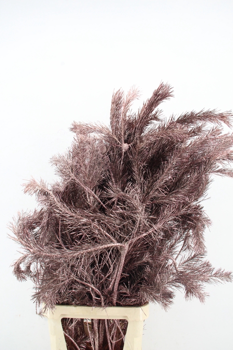 <h4>Pinus Alaska per stem 130cm Antiq. Rose</h4>