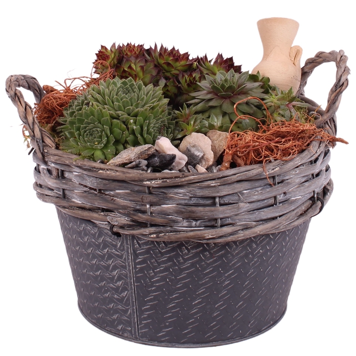 <h4>Opm Semp Arr. Outdoor Willow Basket Round Zinc</h4>