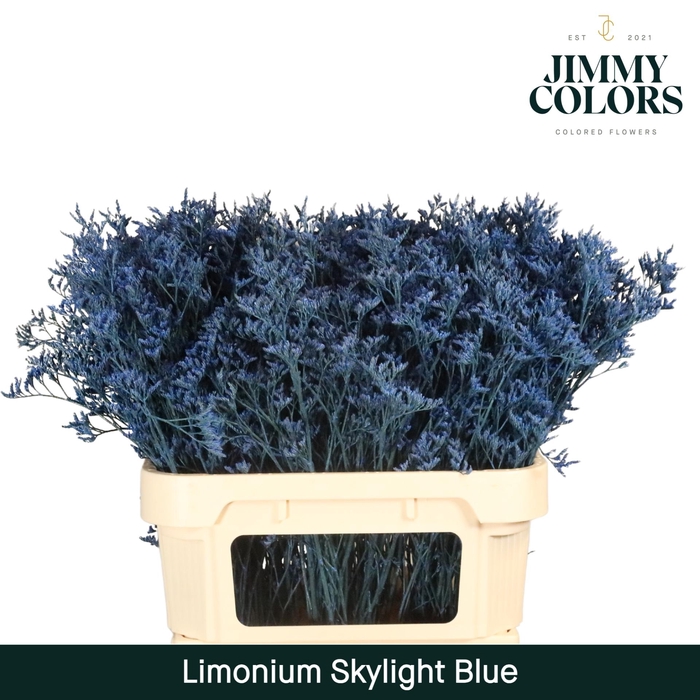 <h4>Limonium Skylight L80 Blue</h4>