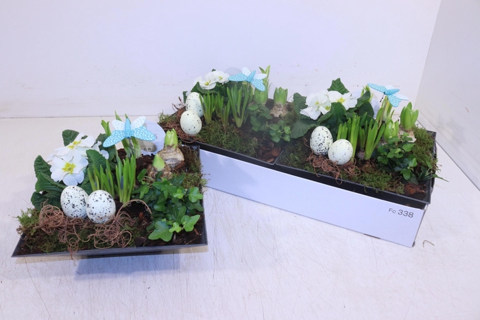 <h4>ARR TUINPLANTEN</h4>