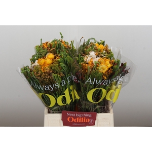 BQ Kaaps Groen Sunset Mix