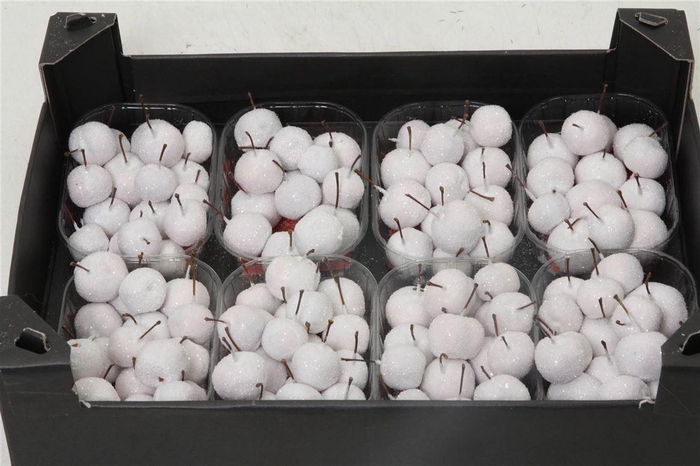 <h4>Appel (wax+gl) X8 White</h4>