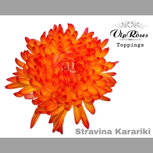 CHR G STRAVINA KAKARIKI