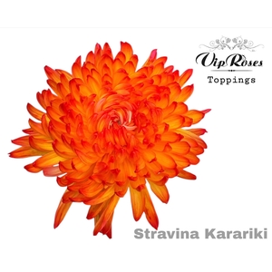 CHR G STRAVINA KAKARIKI