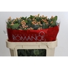 Hypericum Mellow Romance Spray