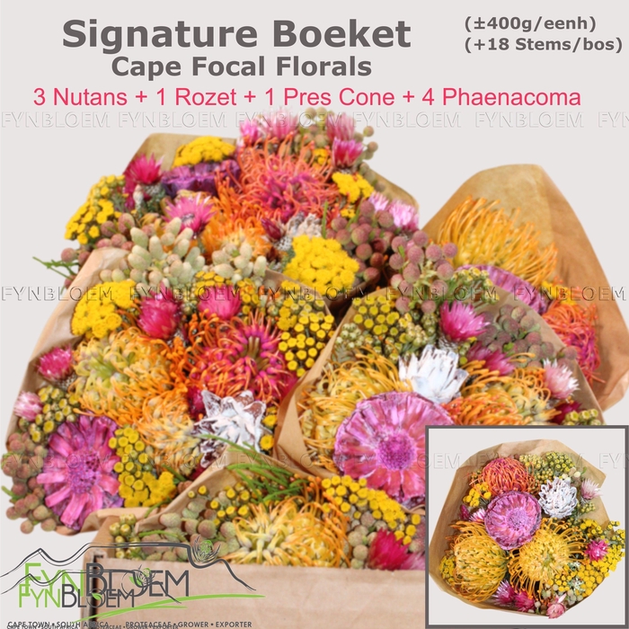 <h4>PROTEA PER BOS</h4>