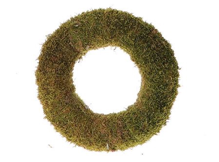 <h4>Wreath Flat Moss H7D20</h4>