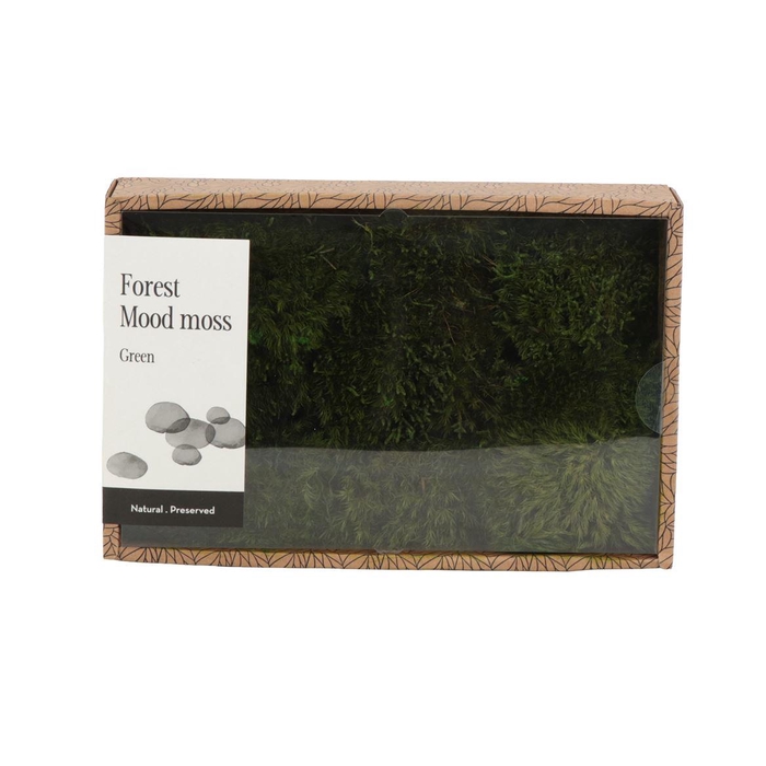 <h4>Mood Moss Gepreserveerd - Box M</h4>