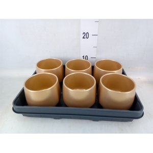 Pot   ...Keramische H%