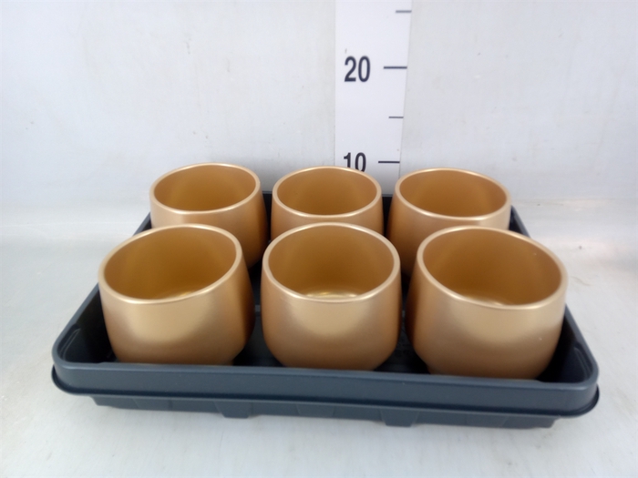 <h4>Pot   ...Keramische H%</h4>