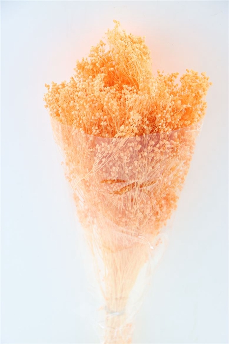 Dried Brooms Salmon Bunch