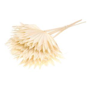 Palm Sun Bleached White