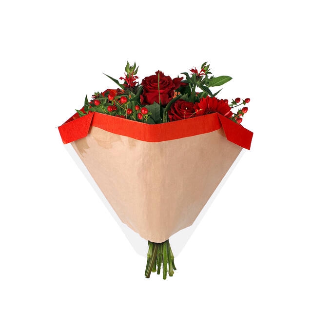 <h4>Hoes 27x44Â½x11cm OPP30/45gr kraft Piccolo rood 250/doos</h4>